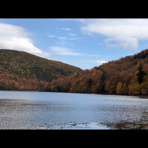 Meet your Posher, Lina